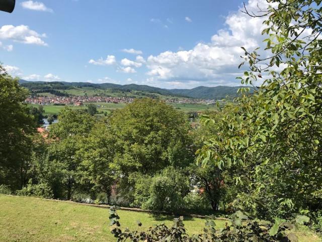 Studio apartman DJED Hrvatska Kostajnica Esterno foto